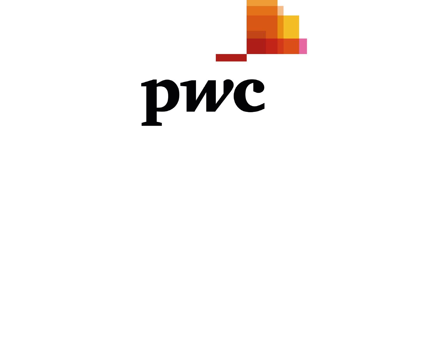 PWC Logo 3