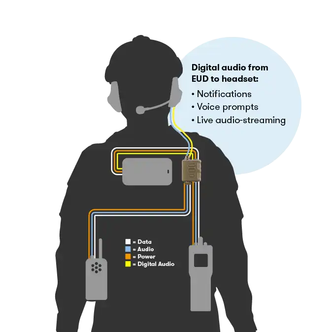 Digital Audio